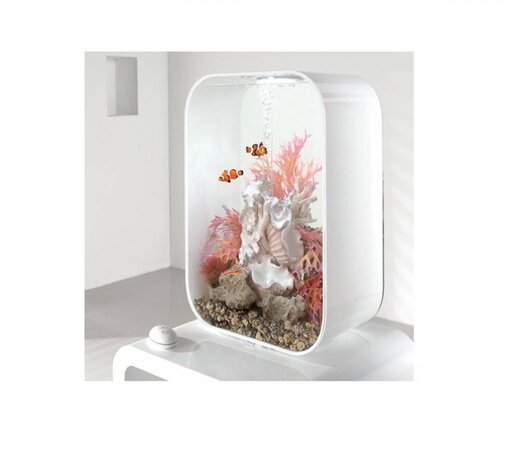 biOrb Easy plant 2x mittelrot/rosa biOrb Easy plant 2x mittelrot/rosa