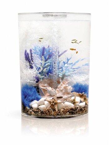 biOrb Easy plants 2x mittelblau/lila