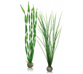 biOrb Easy plants 2x groß grün biOrb Easy plants 2x groß grün