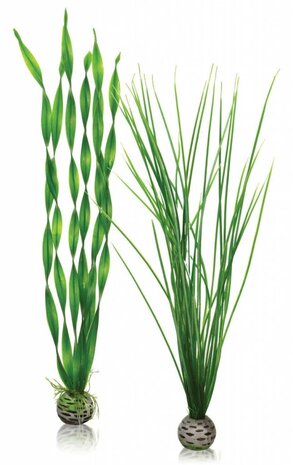 biOrb Easy plants 2x groß grün