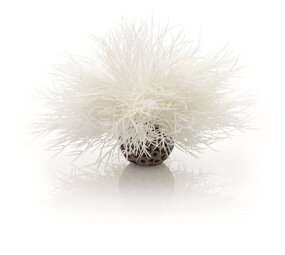 biOrb Sea lily weiß