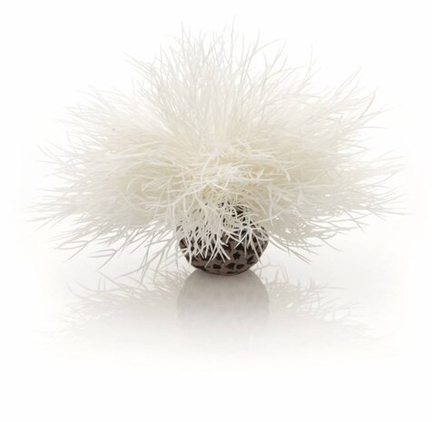 biOrb Sea lily weiß biOrb Sea lily weiß