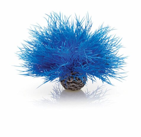 biOrb Sea lily blau