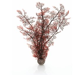 biOrb Roter Seefächer groß 38cm