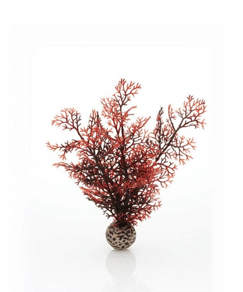 biOrb Seeigel-Fächer Koralle klein 20cm