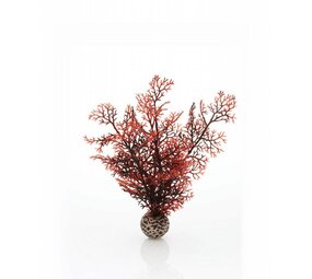 biOrb Seeigel-Fächer Koralle klein 20cm