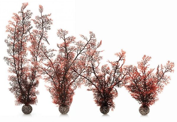 biOrb Seeigel Koralle Crimson Medium 30cm