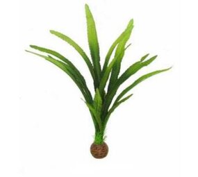 Superfish Easy plants Höhe 30cm Nr.15 Seide