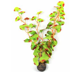 Superfish Easy plants Höhe 30 cm Nr.13 Seide