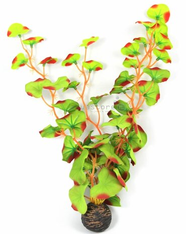 Superfish Easy plants Höhe 30 cm Nr.13 Seide