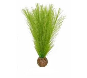 Superfish Easy plants mittel 20 cm Nr.11 Seide