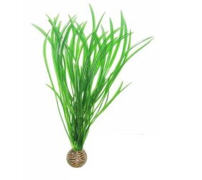 Superfish Easy plants Höhe 30 cm NR.4 Superfish Easy plants Höhe 30 cm NR.4