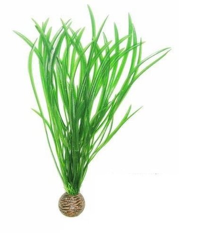 Superfish Easy plants Höhe 30 cm NR.4 Superfish Easy plants Höhe 30 cm NR.4