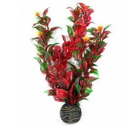 Superfish Easy plants mittel 20 cm NR.6 Superfish Easy plants mittel 20 cm NR.6