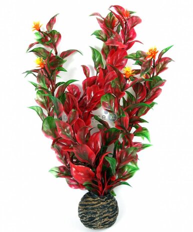 Superfish Easy plants mittel 20 cm NR.6 Superfish Easy plants mittel 20 cm NR.6