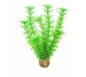 Superfish Easy plants mittel 20 cm NR.4 Superfish Easy plants mittel 20 cm NR.4