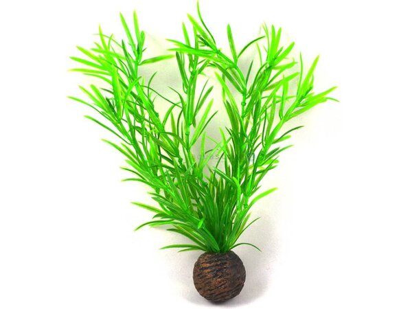 Superfish Easy plants mittel 20 cm NR.3
