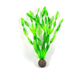 Superfish Easy plants mittel 20cm NR.1 Superfish Easy plants mittel 20cm NR.1
