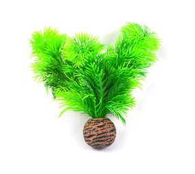 Superfish Easy plants Vordergrund 13cm NR.9 Superfish Easy plants Vordergrund 13cm NR.9