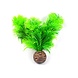Superfish Easy plants Vordergrund 13cm NR.9 Superfish Easy plants Vordergrund 13cm NR.9