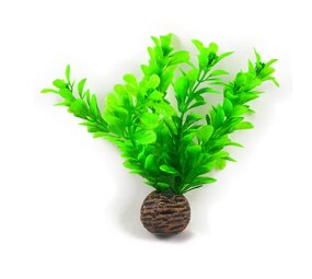 Superfish Easy plants Vordergrund 13cm NR.8 Superfish Easy plants Vordergrund 13cm NR.8