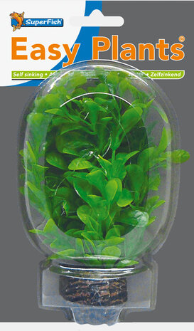 Superfish Easy plants Vordergrund 13cm NR.8