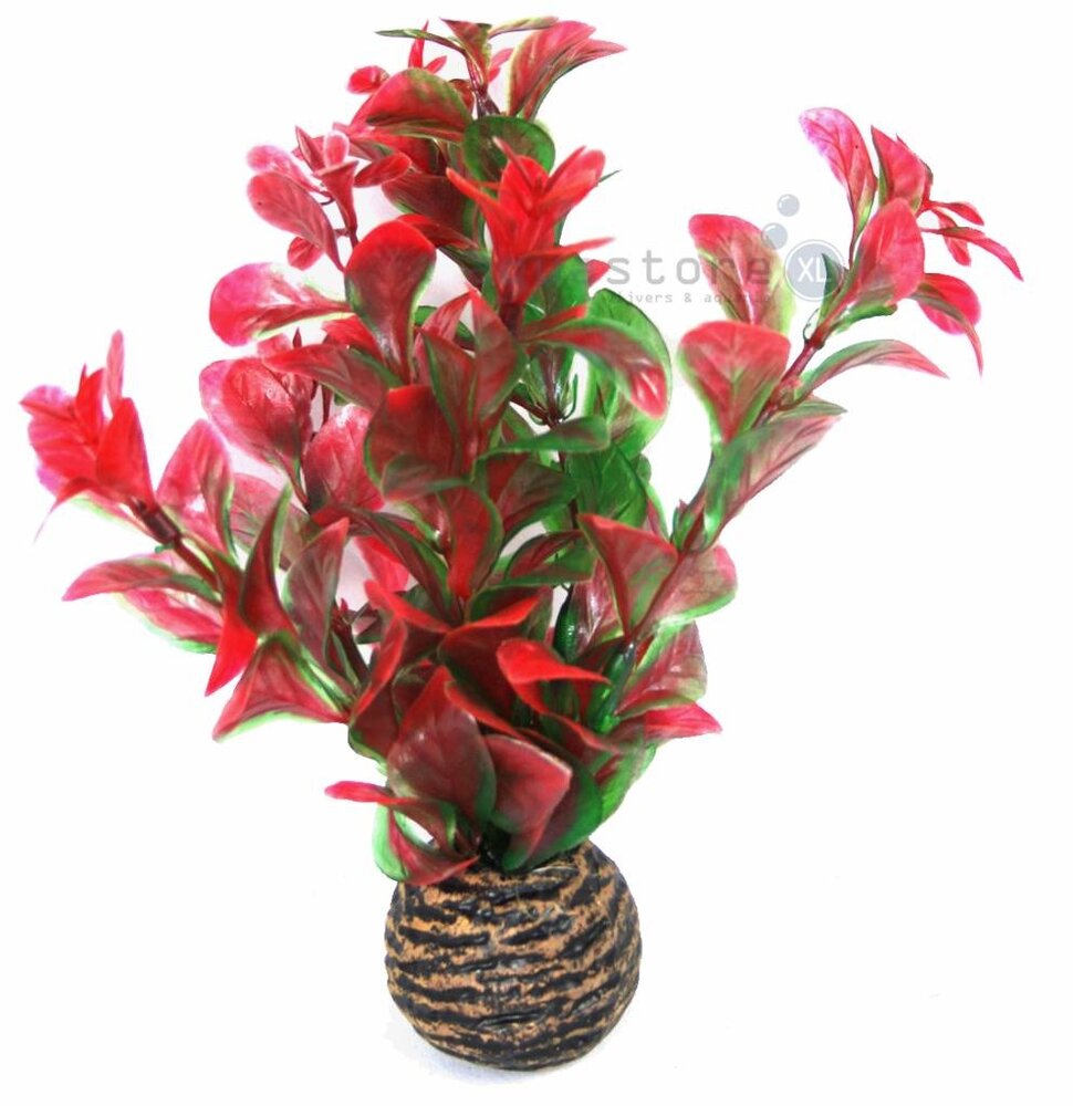 Superfish Easy plants Vordergrund 13cm NR.7