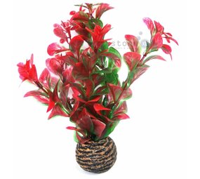 Superfish Easy plants Vordergrund 13cm NR.7 Superfish Easy plants Vordergrund 13cm NR.7