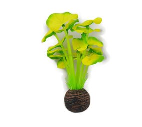 Superfish Easy plants Vordergrund 13cm NR.5 Superfish Easy plants Vordergrund 13cm NR.5