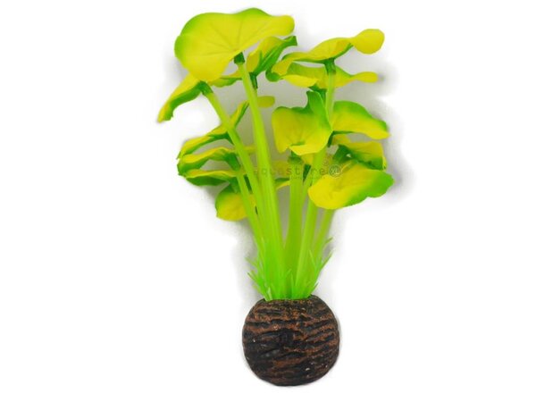 Superfish Easy plants Vordergrund 13cm NR.5
