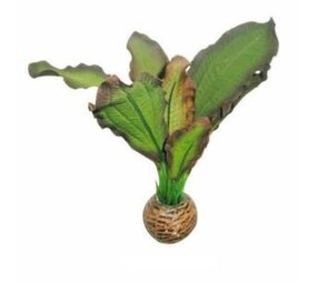 Superfish Easy plants Vordergrund 13cm NR.3 Superfish Easy plants Vordergrund 13cm NR.3