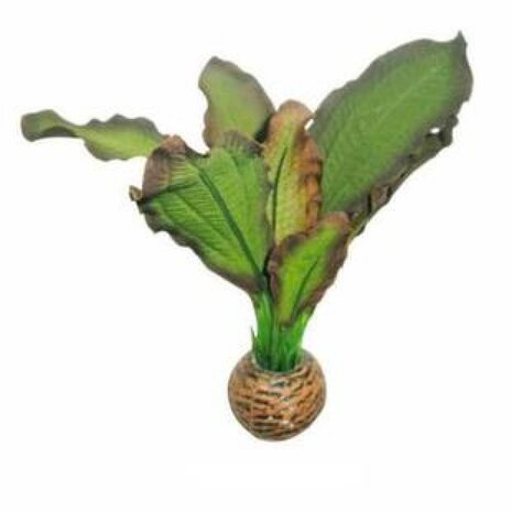 Superfish Easy plants Vordergrund 13cm NR.3