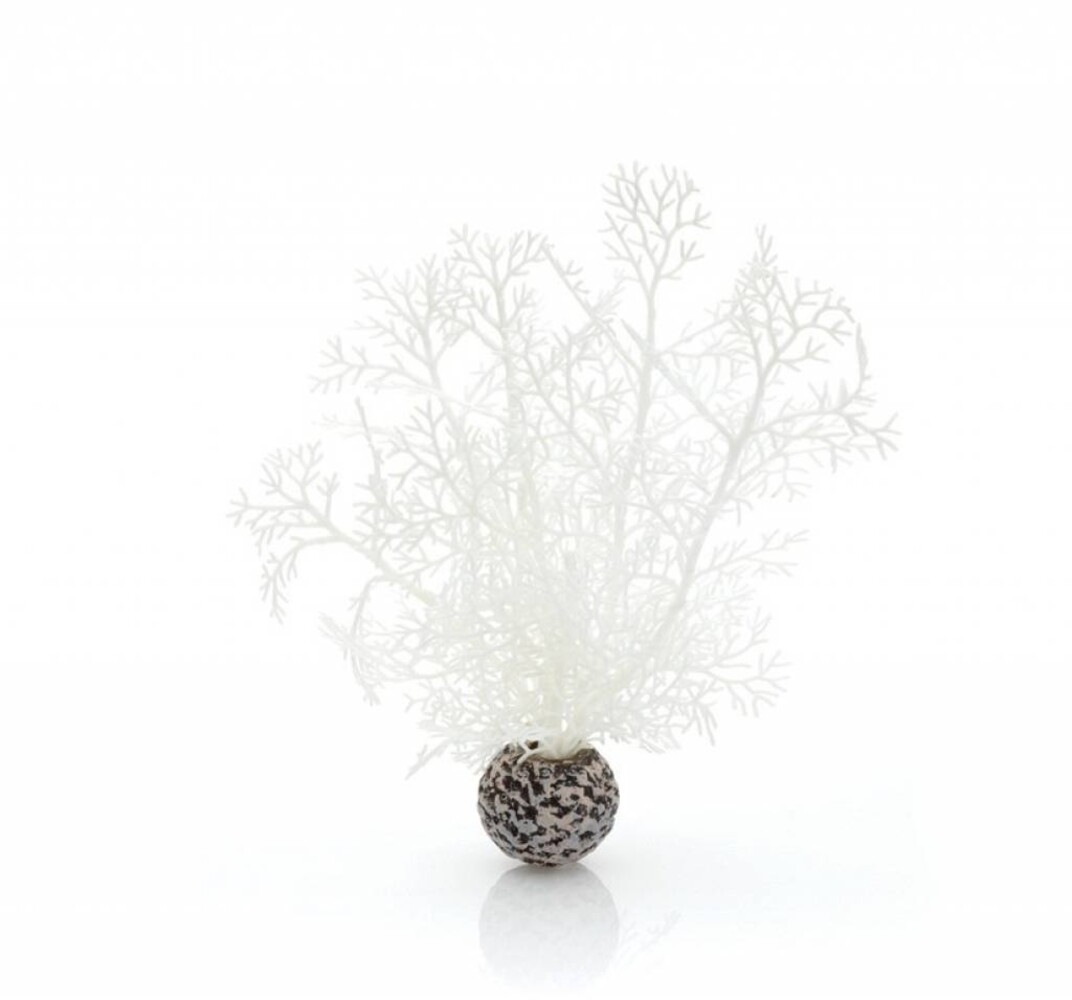 biOrb Seeigel weiß klein 20cm
