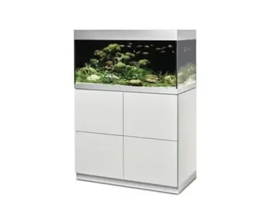 Oase Aquarien