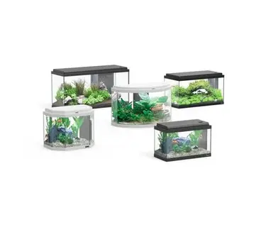 Aquatlantis Aquarien