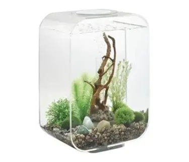 biOrb Aquarien & Terrarien