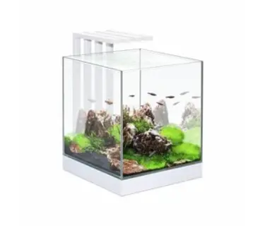 Ciano Aquarien