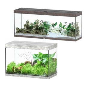 Aquatlantis Splendid Aquarien Aquatlantis Splendid Aquarien