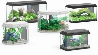 Alle Aquatlantis Aquarien