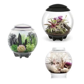 biOrb Vorteilspakete biOrb Vorteilspakete