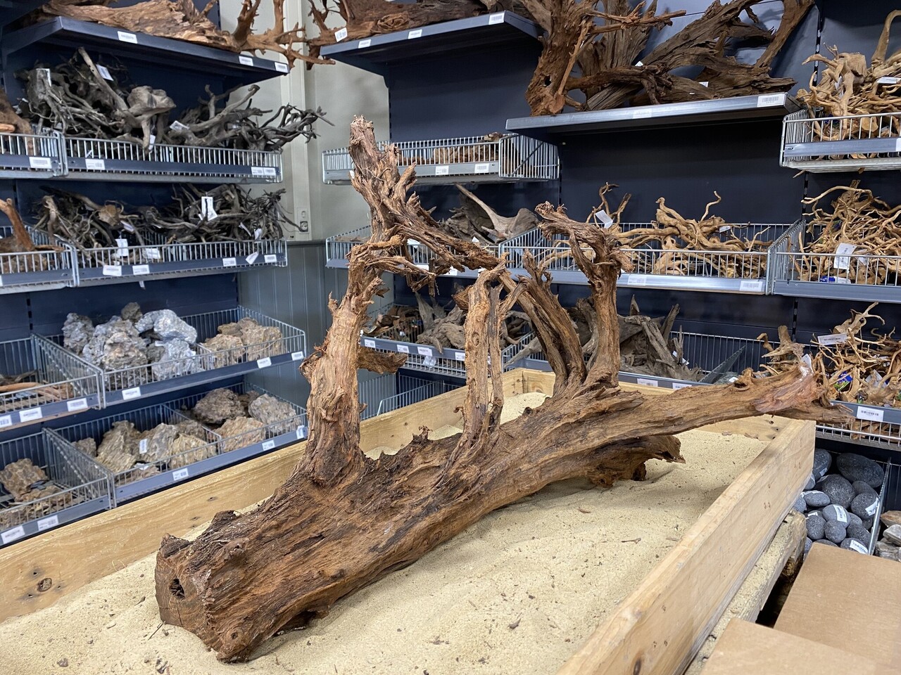 HS Aqua Mangrovenholz XL (65-90 cm) A