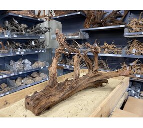 HS Aqua Mangrovenholz XL (65-90 cm) A