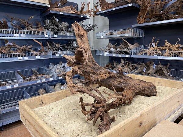 HS Aqua Mangrovenholz XL (65-90 cm) A