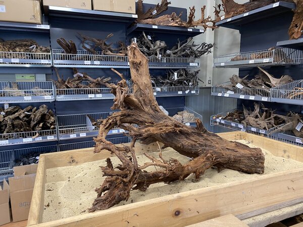 HS Aqua Mangrovenholz XL (65-90 cm) A