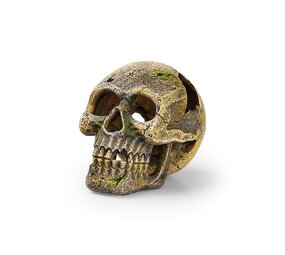 Eden Schädel Dekoration Ornament
