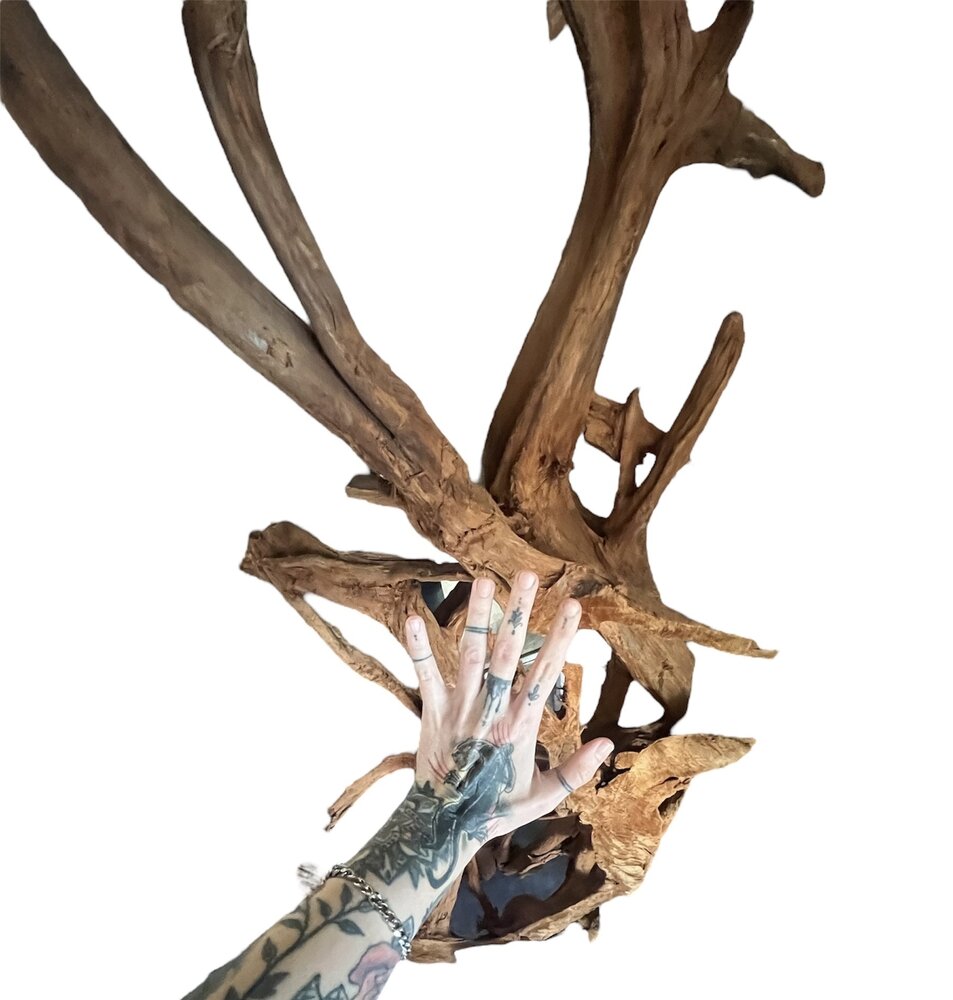 AQXL Selected Mangrovenholz XXL 120-170cm NR1