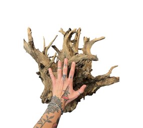 AquastoreXL Corbo Root XL NR07 8,7kg