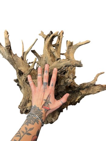 AquastoreXL Corbo Root XL NR07 8,7kg