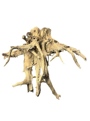 AquastoreXL Corbo Root XL NR07 8,7kg