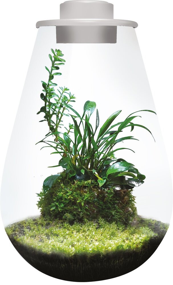 Superfish Bio Art Drop 285 Weiß Superfish Bio Art Drop 285 Weiß